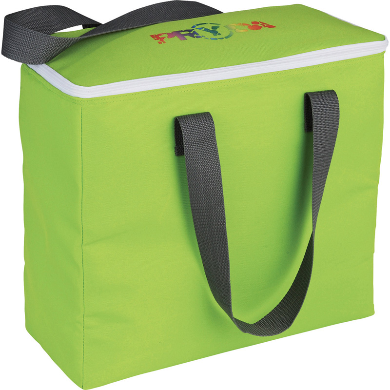 Arctic Zone 30-Can Foldable Freezer Tote
