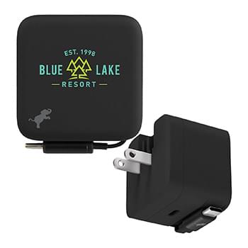 Wally Stretch 35 Wall Charger with cable